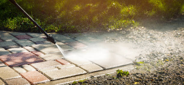 Best Animal Enclosure Cleaning  in Weedpatch, CA